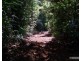 Millaa Millaa QLD 4886