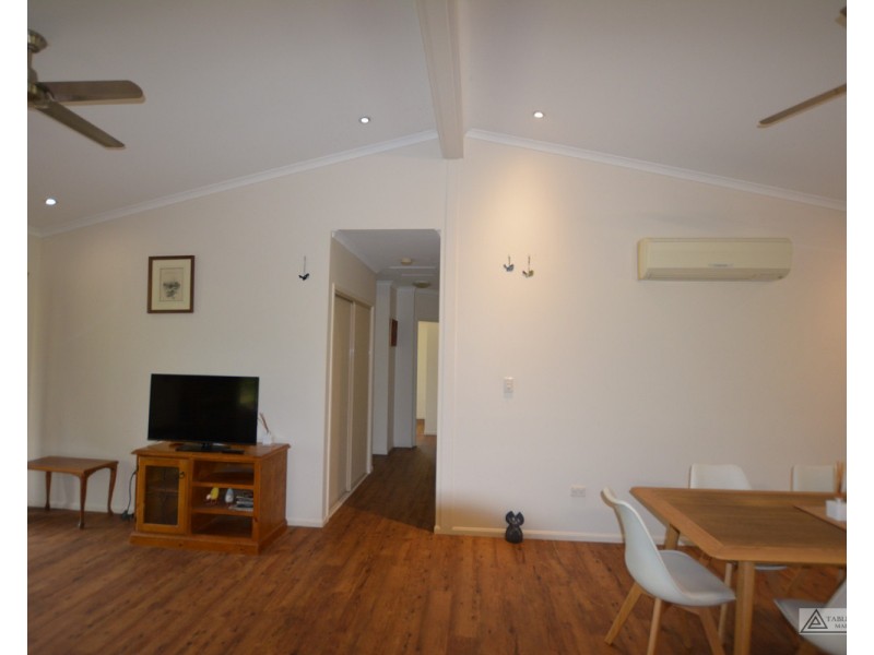 Millaa Millaa QLD 4886