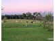 Ravenshoe QLD 4888