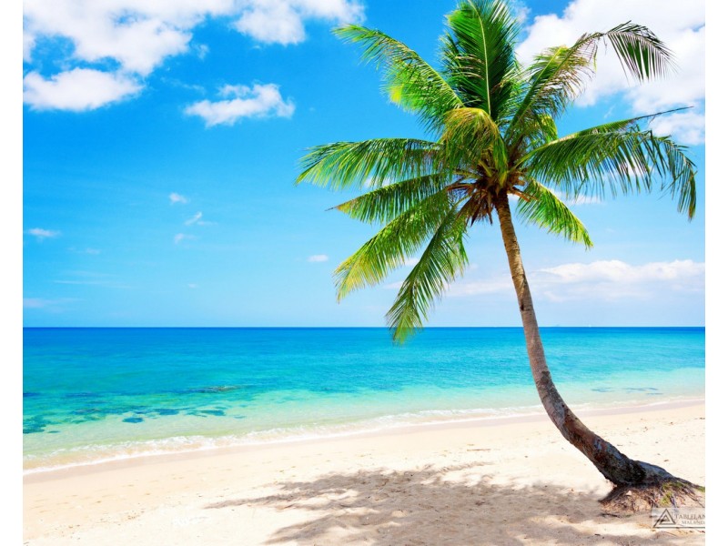 Kurrimine Beach QLD 4871