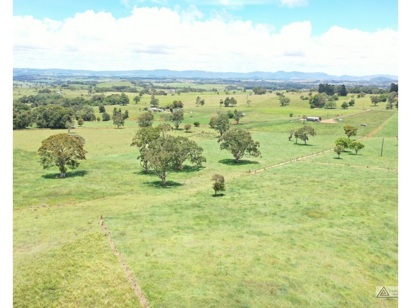 Butchers Creek QLD 4885