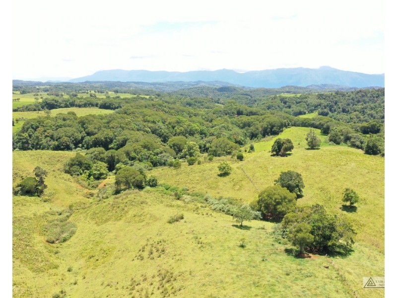 Butchers Creek QLD 4885