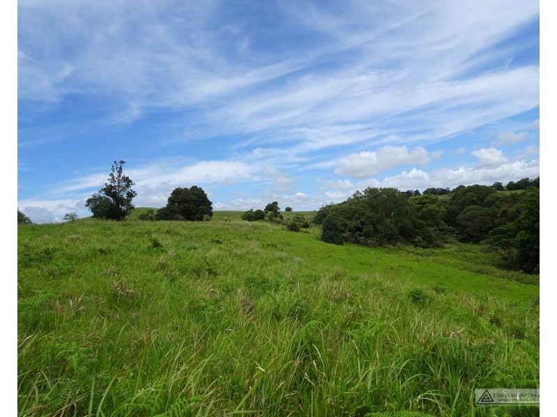 Butchers Creek QLD 4885