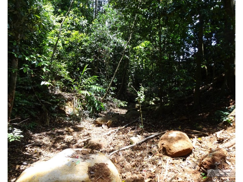 Butchers Creek QLD 4885