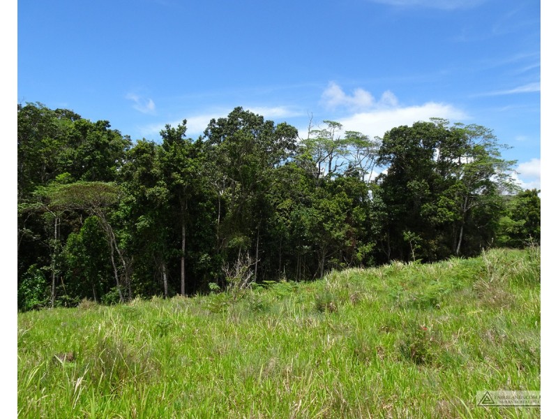 Butchers Creek QLD 4885