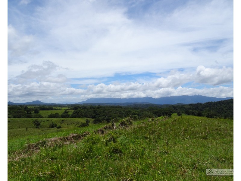 Butchers Creek QLD 4885