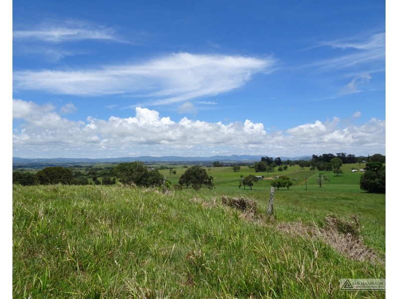 Butchers Creek QLD 4885