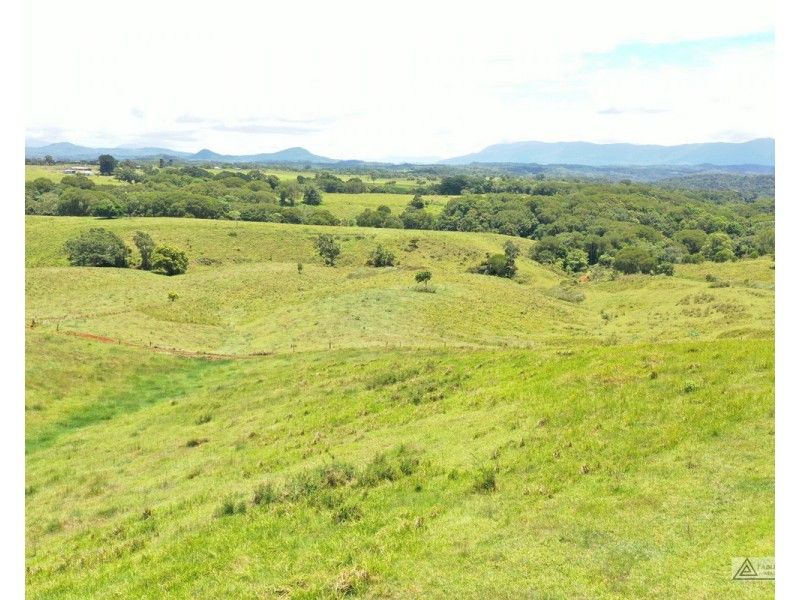 Butchers Creek QLD 4885