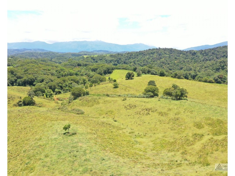 Butchers Creek QLD 4885