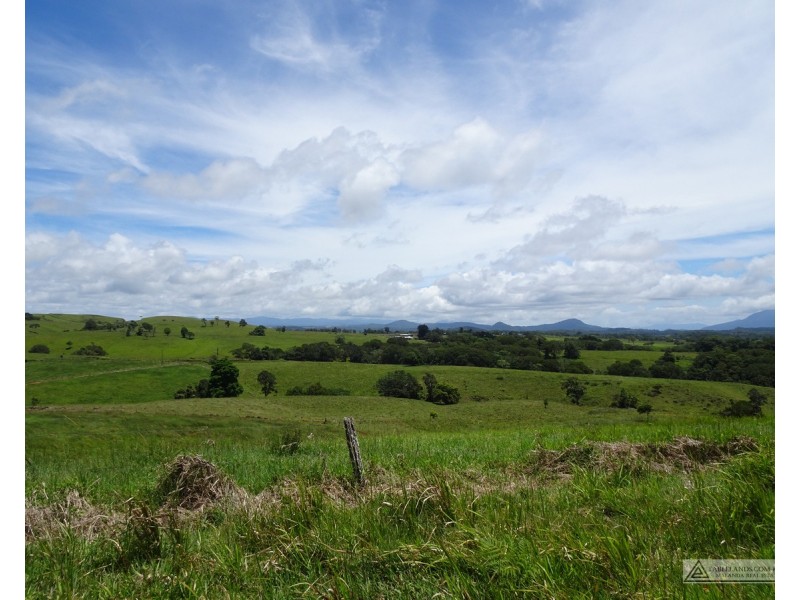 Butchers Creek QLD 4885