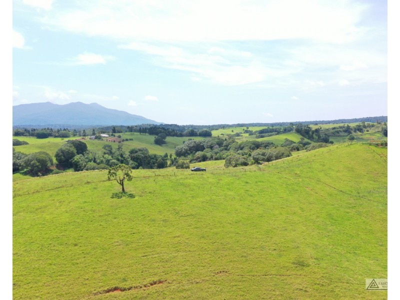 Butchers Creek QLD 4885