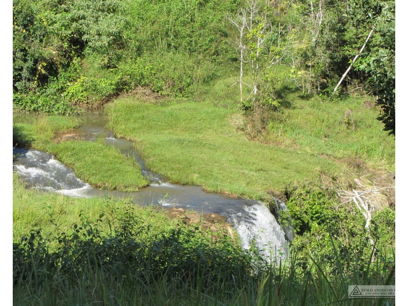 Butchers Creek QLD 4885