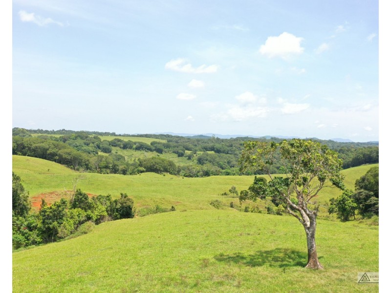 Butchers Creek QLD 4885