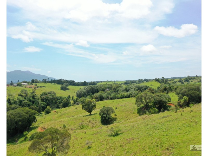 Butchers Creek QLD 4885