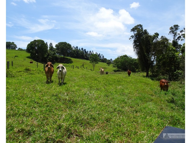 Butchers Creek QLD 4885