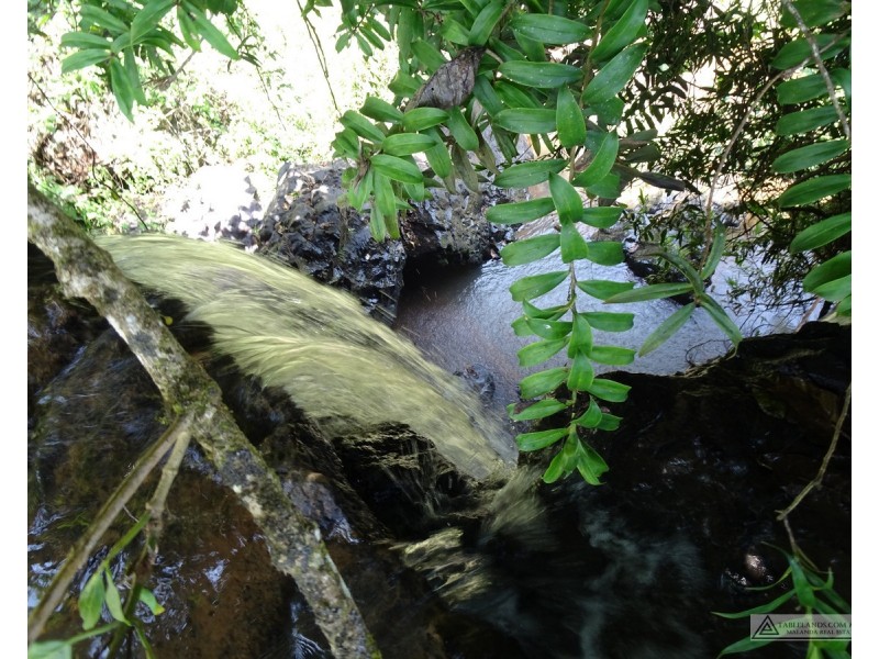 Butchers Creek QLD 4885