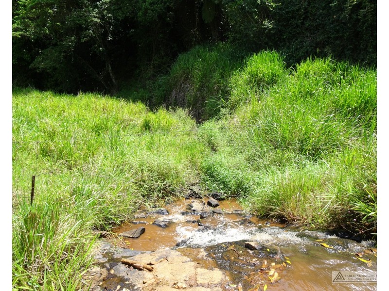 Butchers Creek QLD 4885