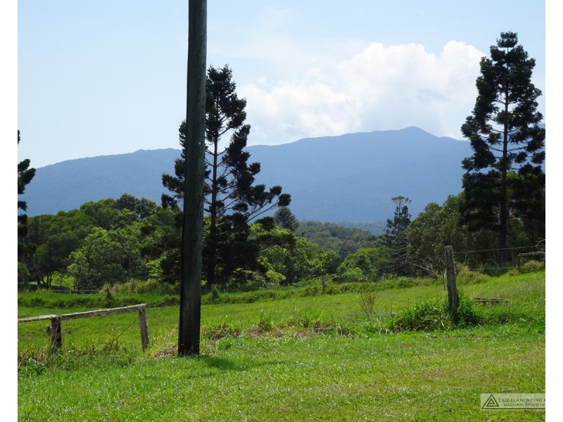 Butchers Creek QLD 4885