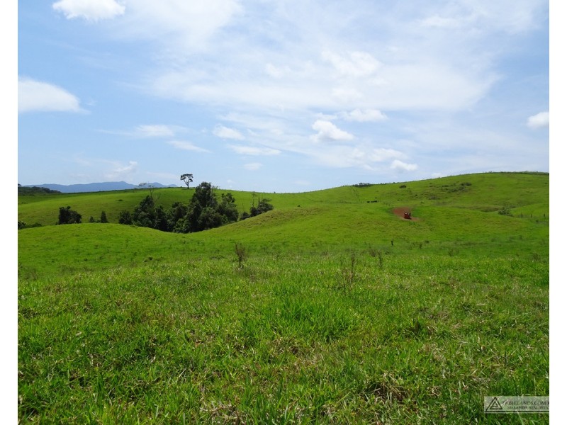 Butchers Creek QLD 4885