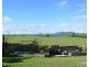 Millaa Millaa QLD 4886