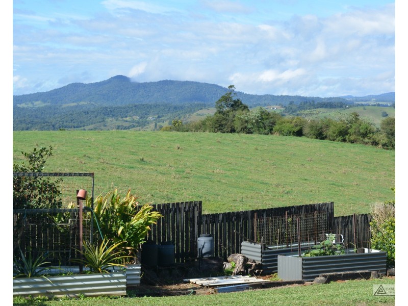 Millaa Millaa QLD 4886