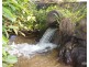 Millaa Millaa QLD 4886