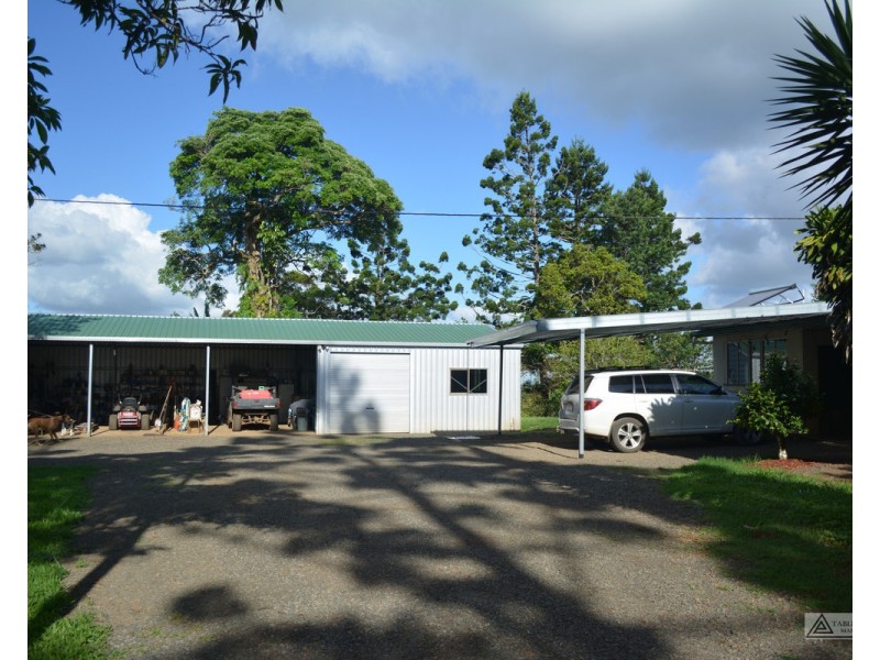 Millaa Millaa QLD 4886
