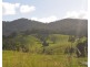 Millaa Millaa QLD 4886