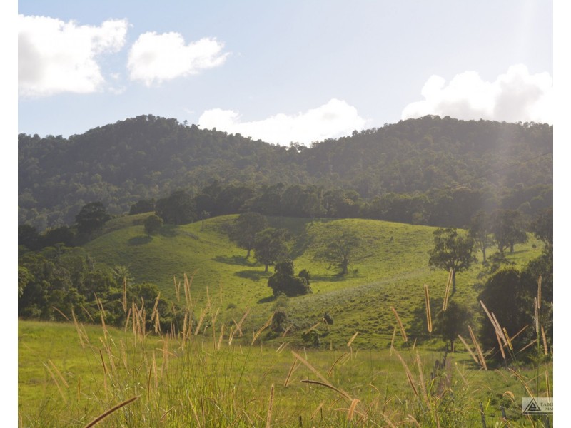 Millaa Millaa QLD 4886