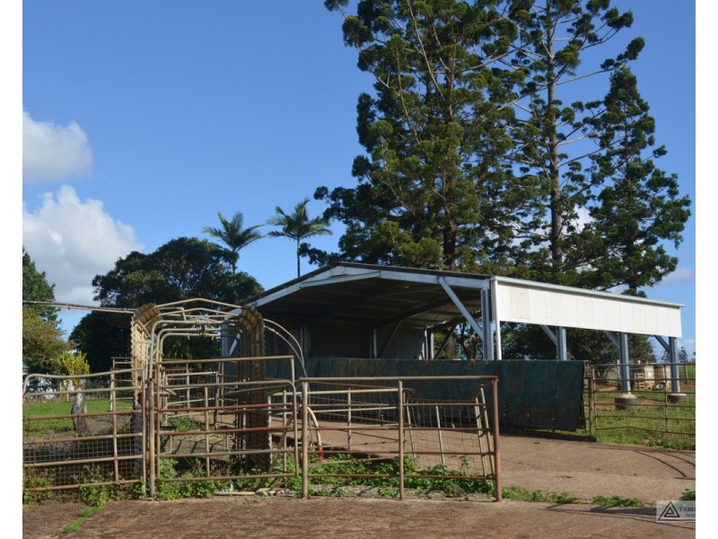 Millaa Millaa QLD 4886