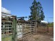 Millaa Millaa QLD 4886