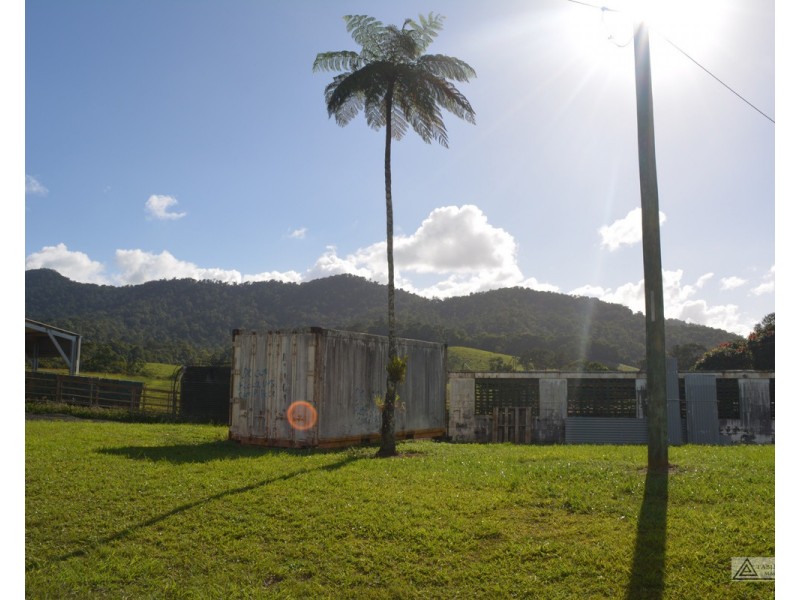 Millaa Millaa QLD 4886