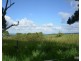 Millaa Millaa QLD 4886