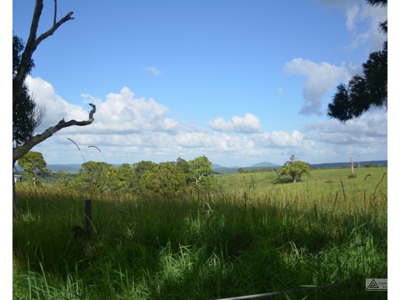 Millaa Millaa QLD 4886