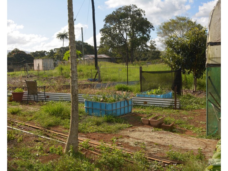 Millaa Millaa QLD 4886