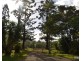 Millaa Millaa QLD 4886