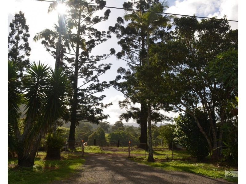 Millaa Millaa QLD 4886