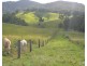 Millaa Millaa QLD 4886