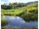 Millaa Millaa QLD 4886