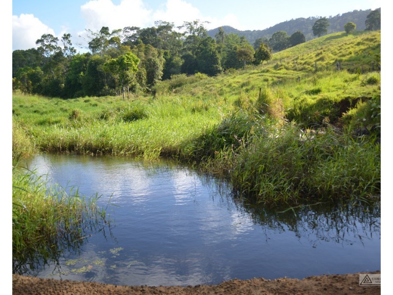 Millaa Millaa QLD 4886