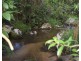 Millaa Millaa QLD 4886
