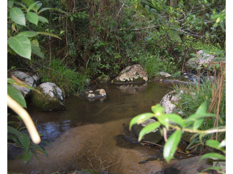 Millaa Millaa QLD 4886