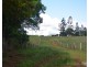 Millaa Millaa QLD 4886