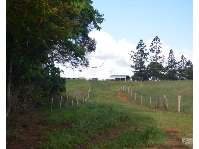 Millaa Millaa QLD 4886