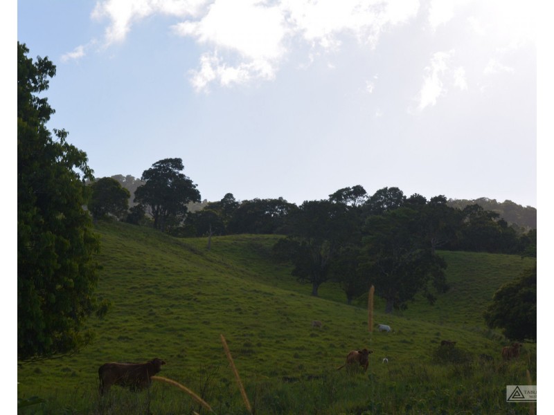 Millaa Millaa QLD 4886