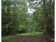 Millaa Millaa QLD 4886
