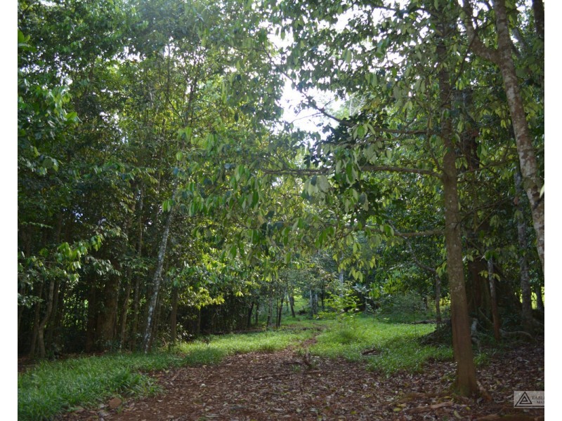 Millaa Millaa QLD 4886
