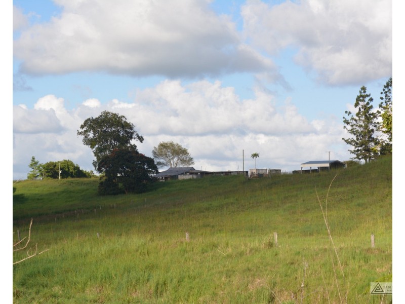 Millaa Millaa QLD 4886