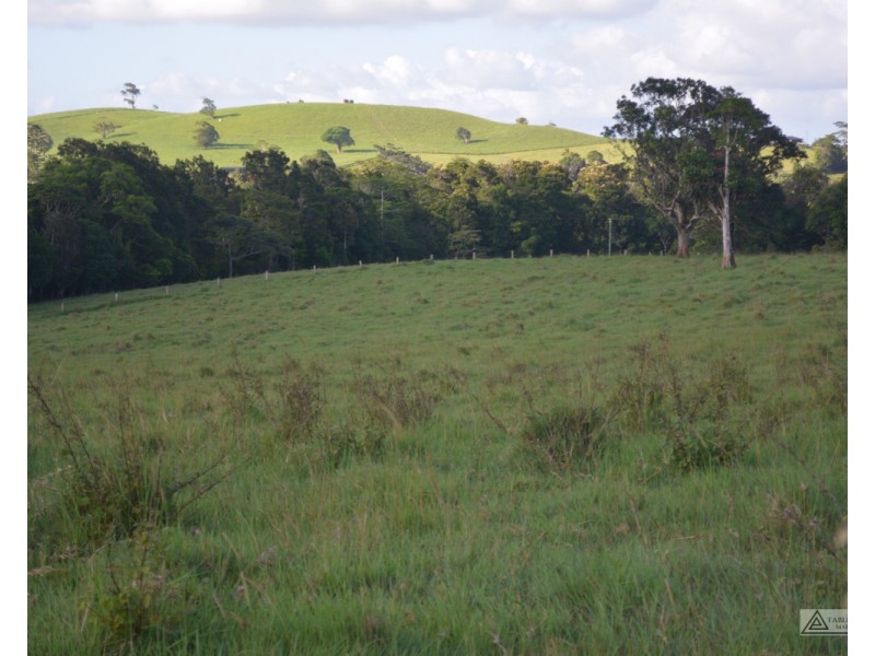 Millaa Millaa QLD 4886