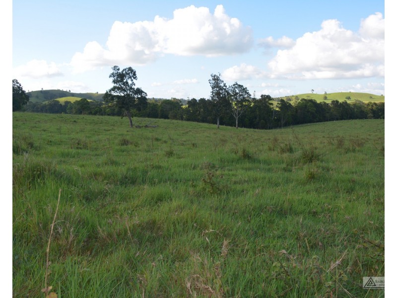 Millaa Millaa QLD 4886